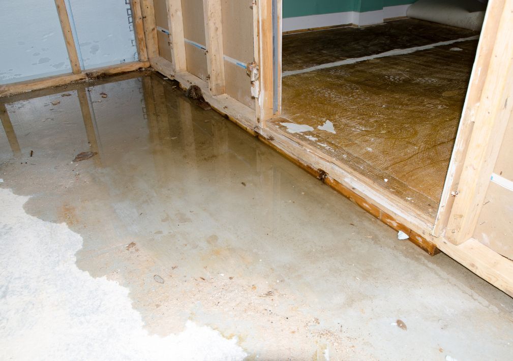 What Is The Average Cost Of Water Damage Restoration In Cimarron Hills Co