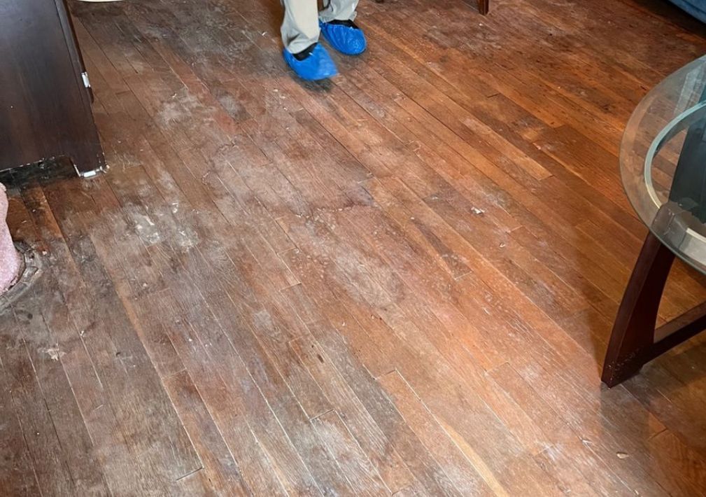 What Is The Average Cost Of Water Damage Restoration In Colorado Springs