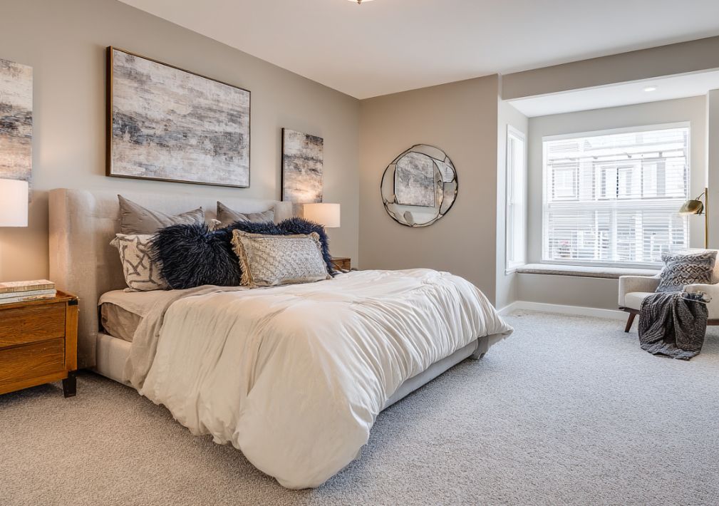 What Is The Average Cost Of Carpet Cleaning In Woodland Park Co