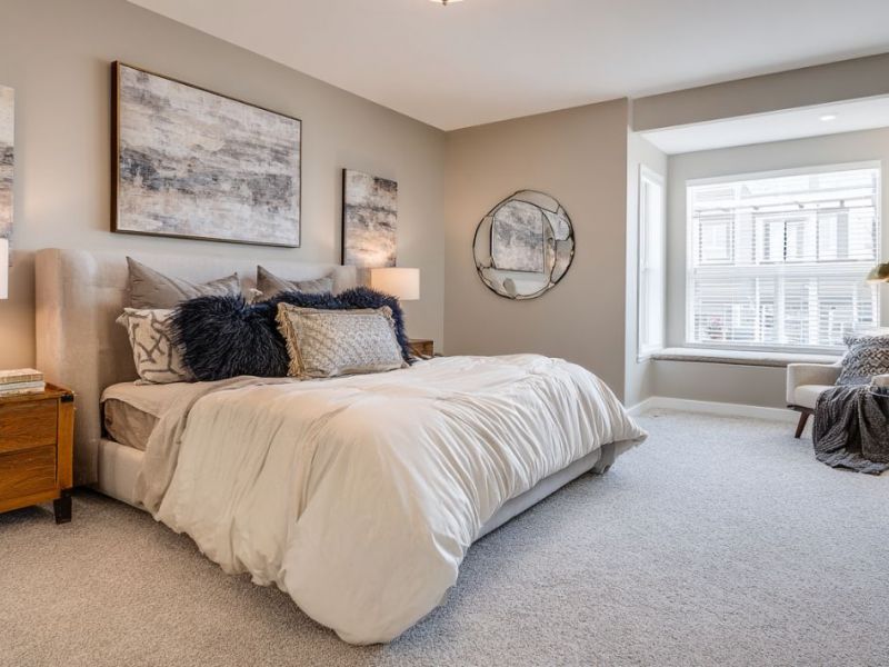 What Is The Average Cost Of Carpet Cleaning In Woodland Park Co