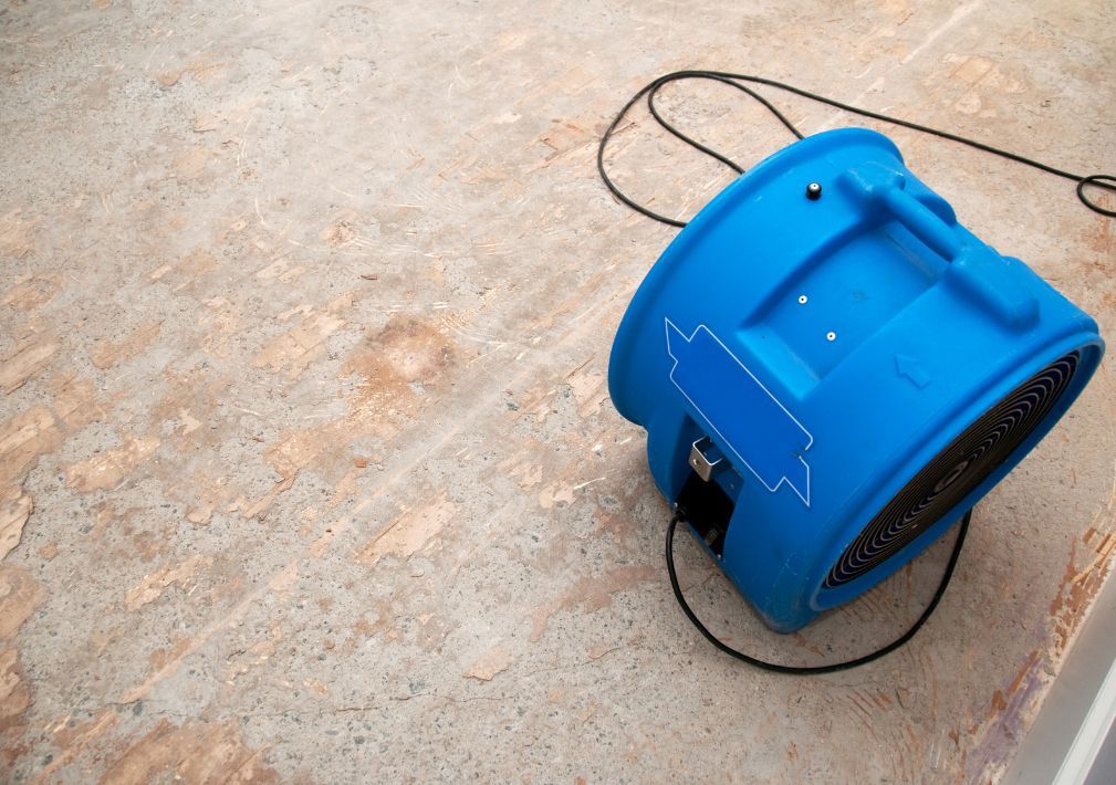 What Is The Average Cost Of Water Damage Restoration In Aiken Sc