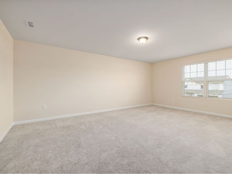 What Is The Average Cost Of Carpet Cleaning In Eastover Sc