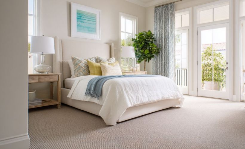 What Is The Average Cost Of Carpet Cleaning In Box Springs Ga