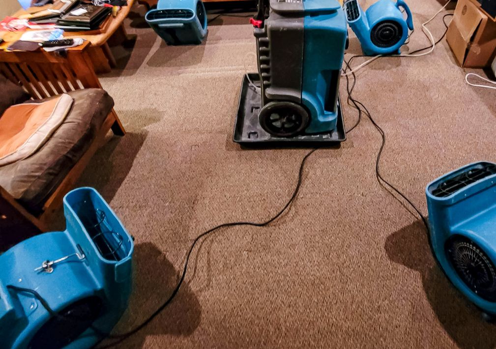 What Is The Average Cost Of Water Damage Restoration In Fortson Ga
