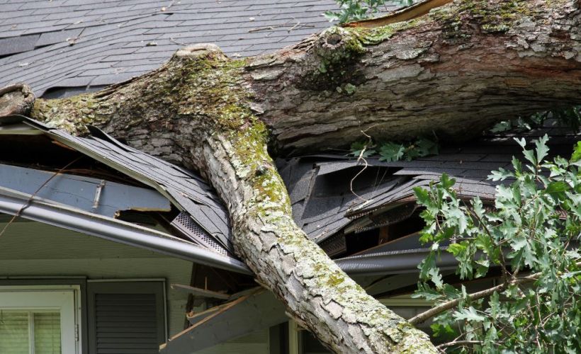 What Is The Average Cost Of Storm Damage Restoration In Hamilton