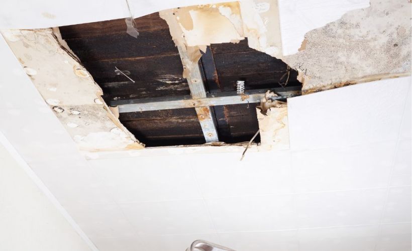 What Is The Average Cost Of Water Damage Restoration In Cusseta Ga