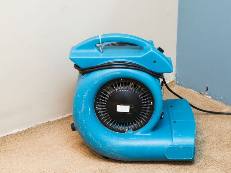 What Is The Average Cost Of Water Damage Restoration Front Royal Va