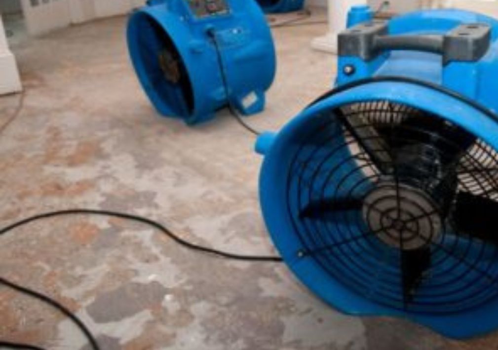 What Are The Top Signs Of Water Damage In Culpepper Va Learn The Warning Signs