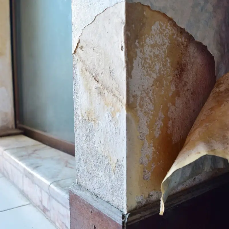 Commercial Mold Remediation For Amissville, VA Businesses