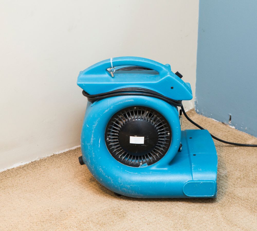 What Is The Average Cost Of Water Damage Restoration Front Royal Va