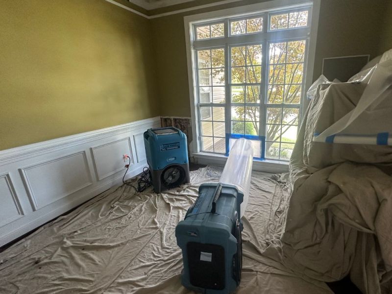 What Is The Average Cost Of Mold Damage Restoration In King George