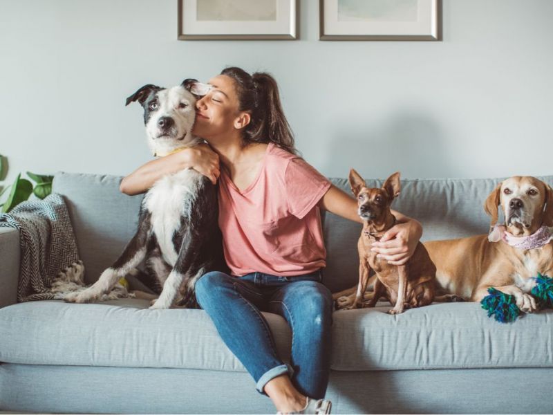 What Is The Average Cost Of Odor Removal In Dorchester Tx