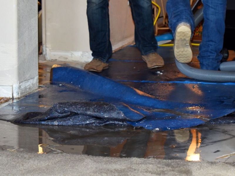 What Is The Average Cost Of Water Damage Restoration In Mckinney Tx