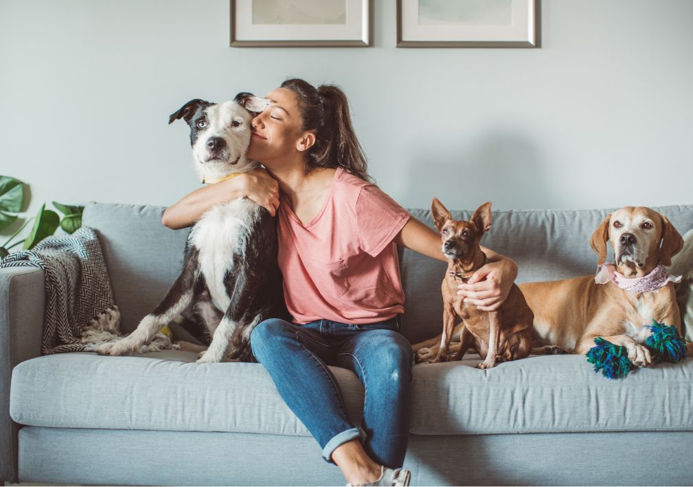 What Is The Average Cost Of Odor Removal In Dorchester Tx