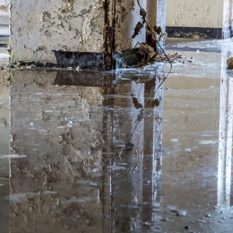 Professional Commercial Water Damage Restoration Service In Irving, TX