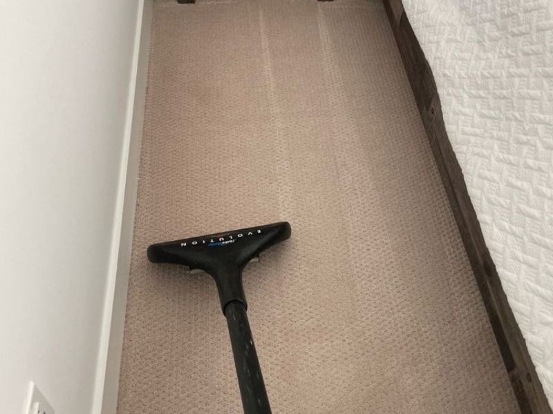 What Is The Average Cost Of Carpet Cleaning In Ashland De