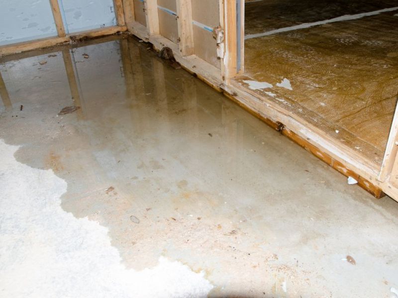 What Is The Average Cost Of Water Damage Restoration In Alban Park De