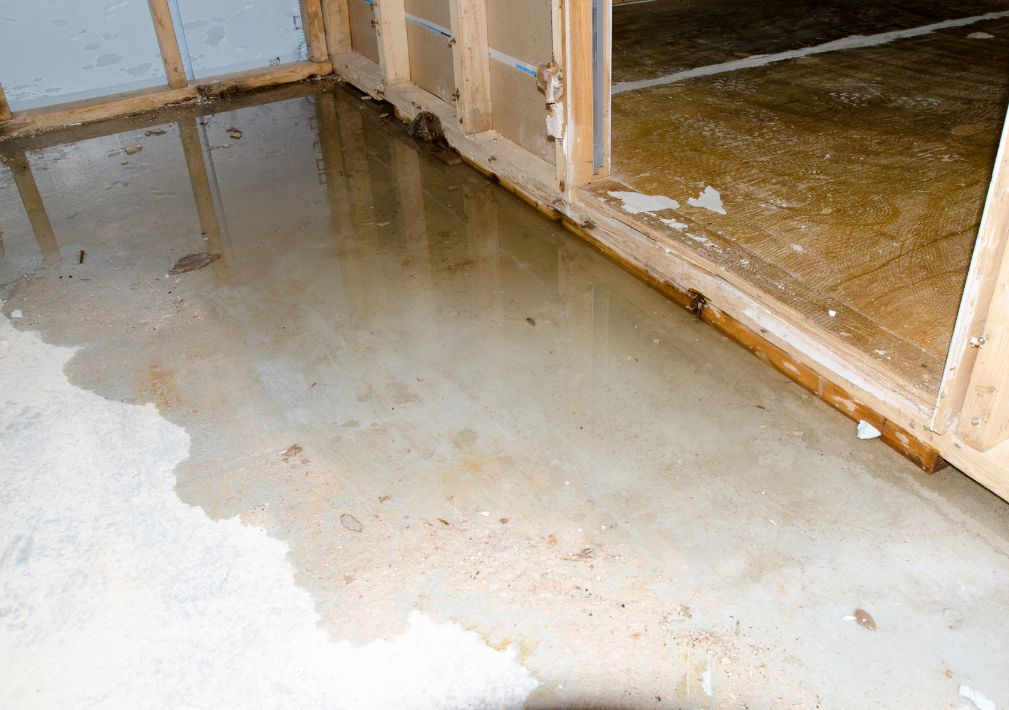 What Is The Average Cost Of Water Damage Restoration In Alban Park De