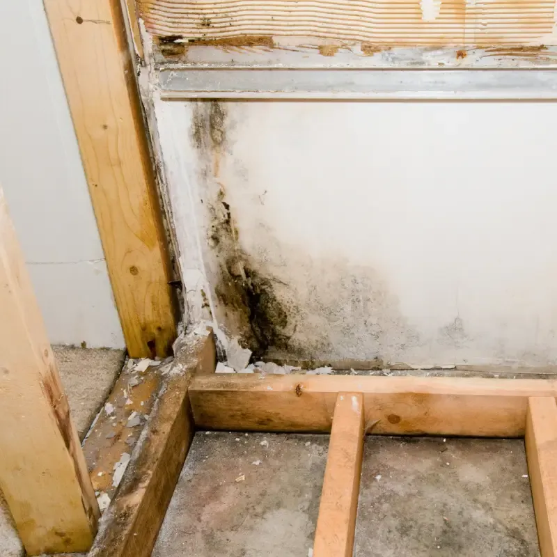 Commercial Mold Remediation Services Gallery 3