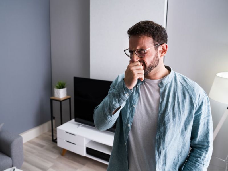 What Is The Average Cost Of Odor Removal In Derby Co