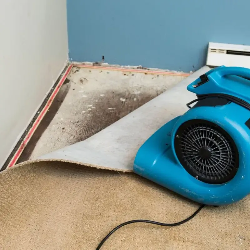 Professional Water Damage Restoration Service In Fort Carson, CO