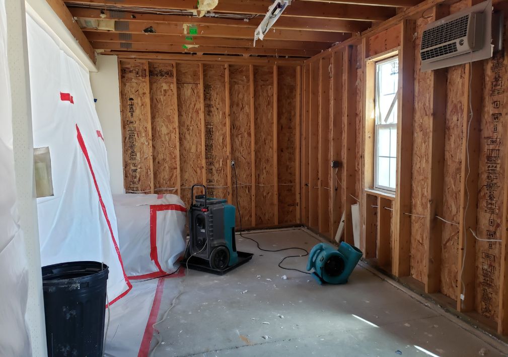 What Are The Top Signs Of Water Damage In Denver Co
