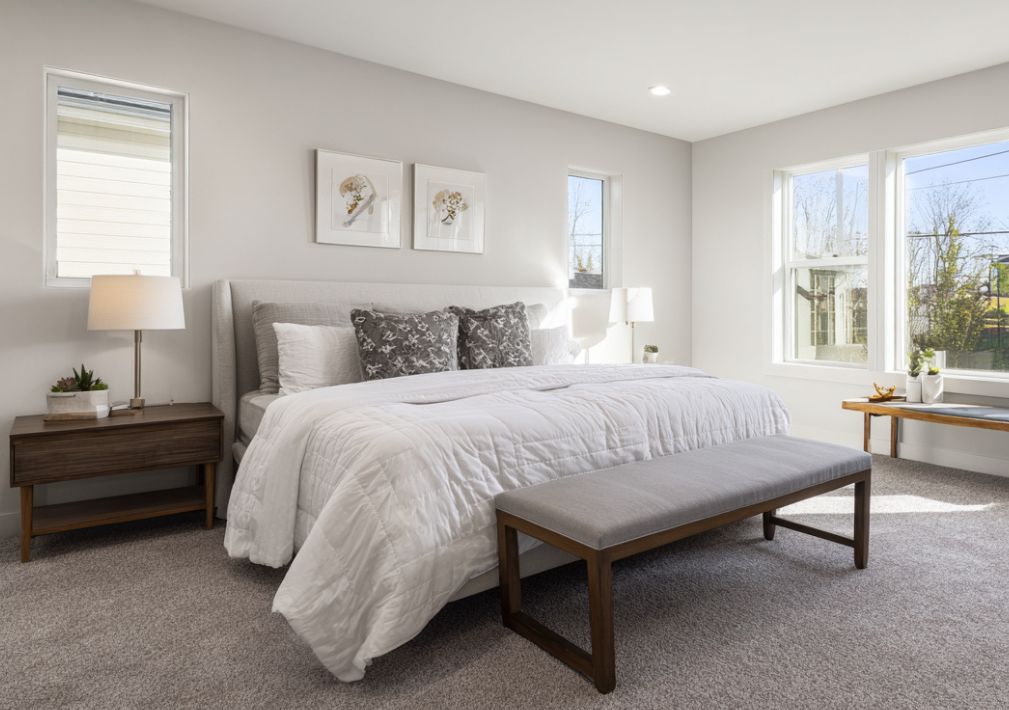 What Is The Average Cost Of Carpet Cleaning In Golden Co