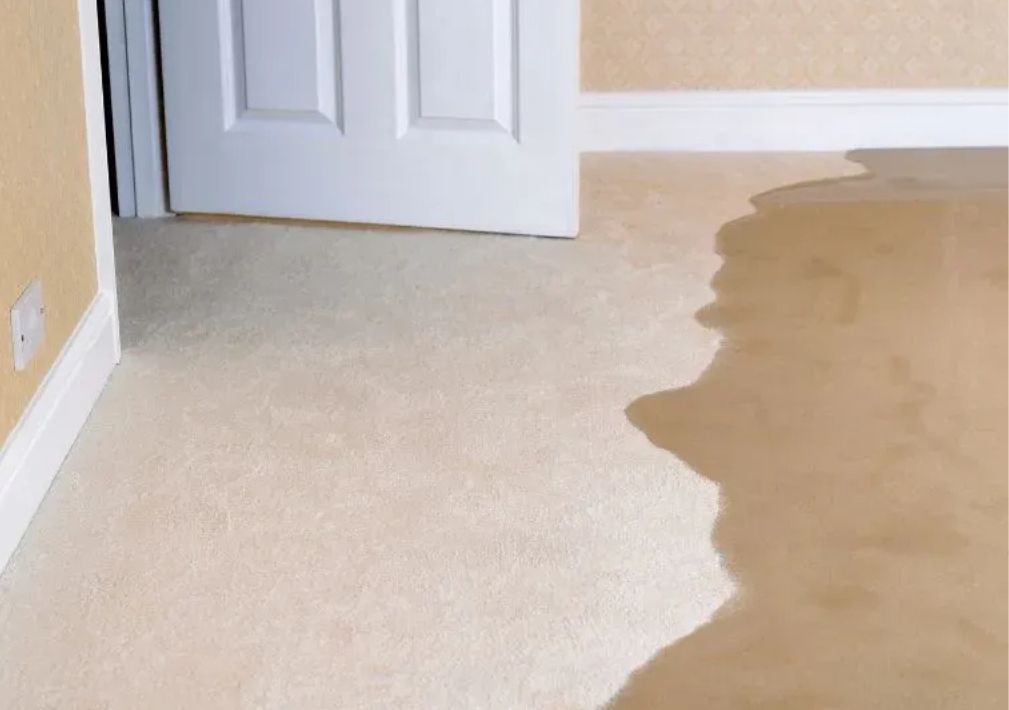 What Is The Average Cost Of Sewage Damage Cleanup In Orlando Fl