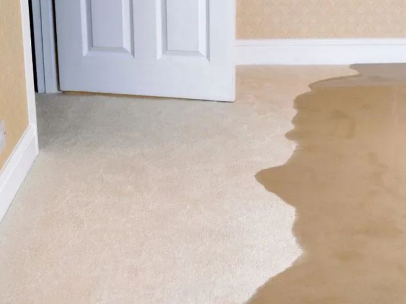 What Is The Average Cost Of Sewage Damage Cleanup In Orlando Fl