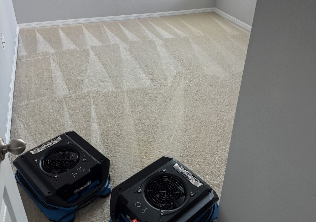 What Is The Average Cost Of Carpet Cleaning In Edgewater Fl