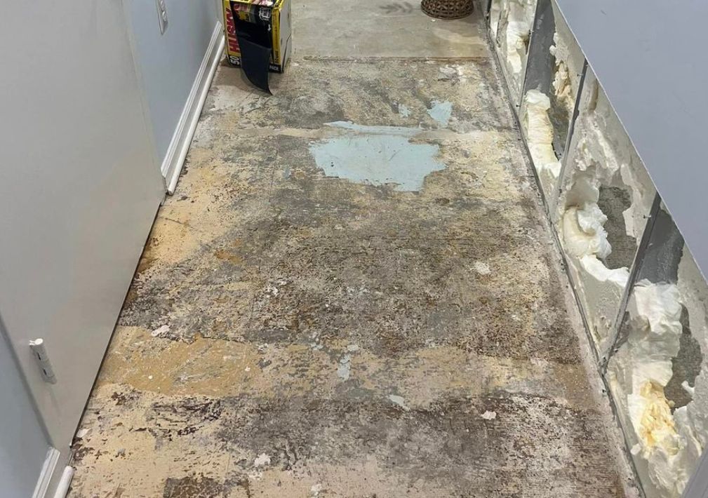 What Is The Average Cost Of Water Damage Restoration In Brandon Fl