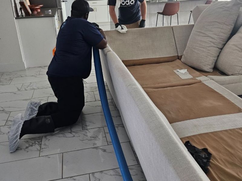 What Is The Average Cost Of Upholstery Cleaning In Lithia Fl