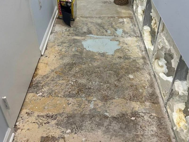 What Is The Average Cost Of Water Damage Restoration In Brandon Fl