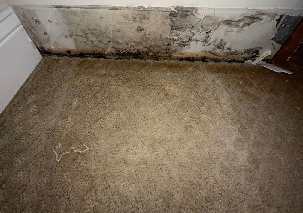 What Is The Average Cost Of Water Damage Restoration In Riverview