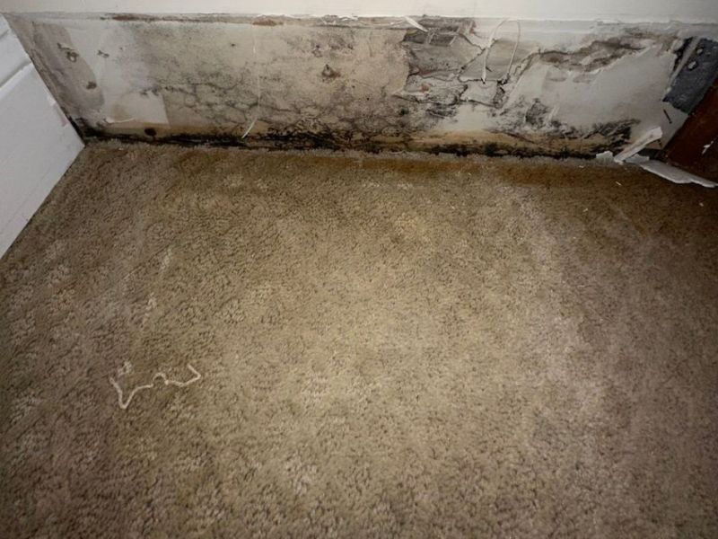 What Is The Average Cost Of Water Damage Restoration In Riverview