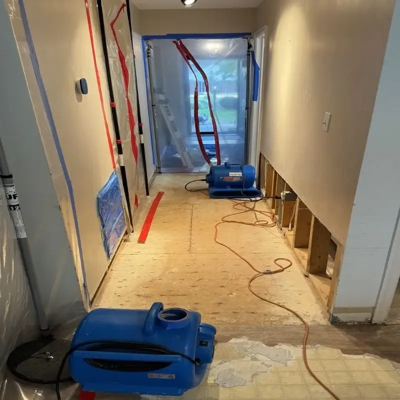 Carpet Cleaning Gallery 18