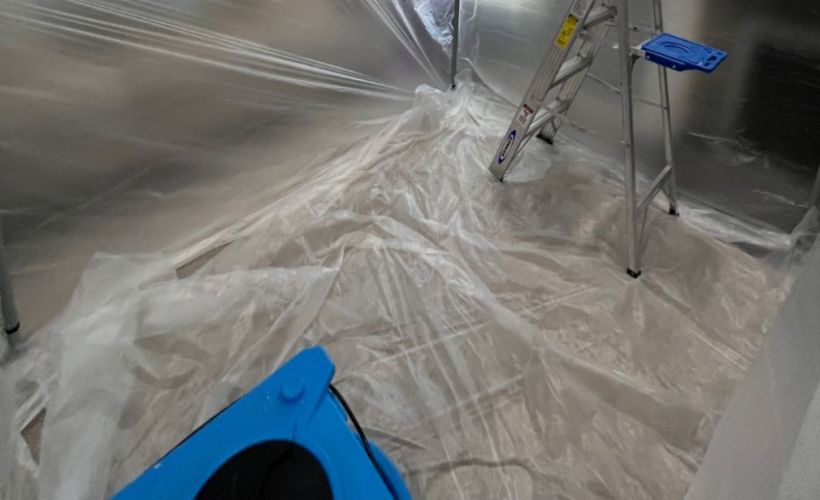 What Is The Average Cost Of Mold Remediation In Bolton Ma (1)
