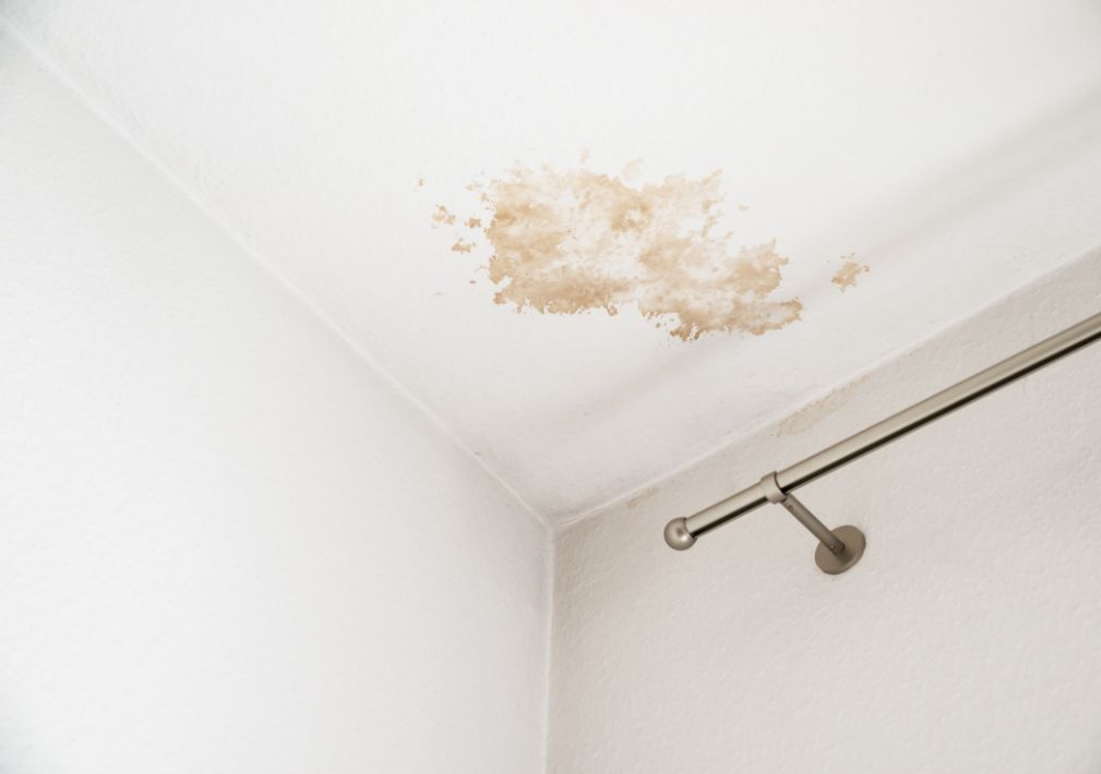 What Is The Average Cost Of Water Damage Restoration In Fort Collins Co