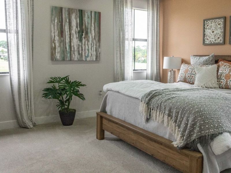 What Is The Average Cost Of Carpet Cleaning In Davie Fl