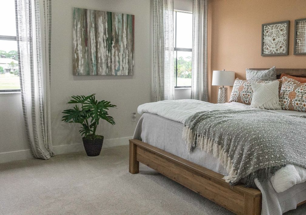 What Is The Average Cost Of Carpet Cleaning In Davie Fl