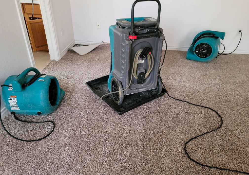 What Is The Average Cost Of Water Damage Restoration In Hollywood Fl