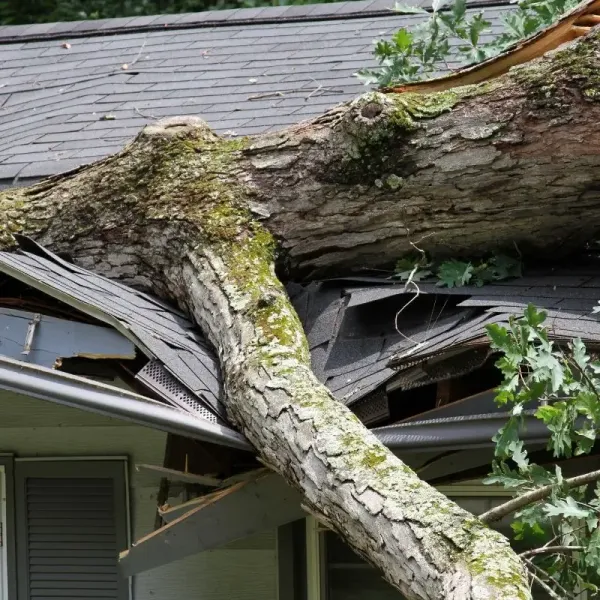 High Quality Emergency Roof Tarping Services