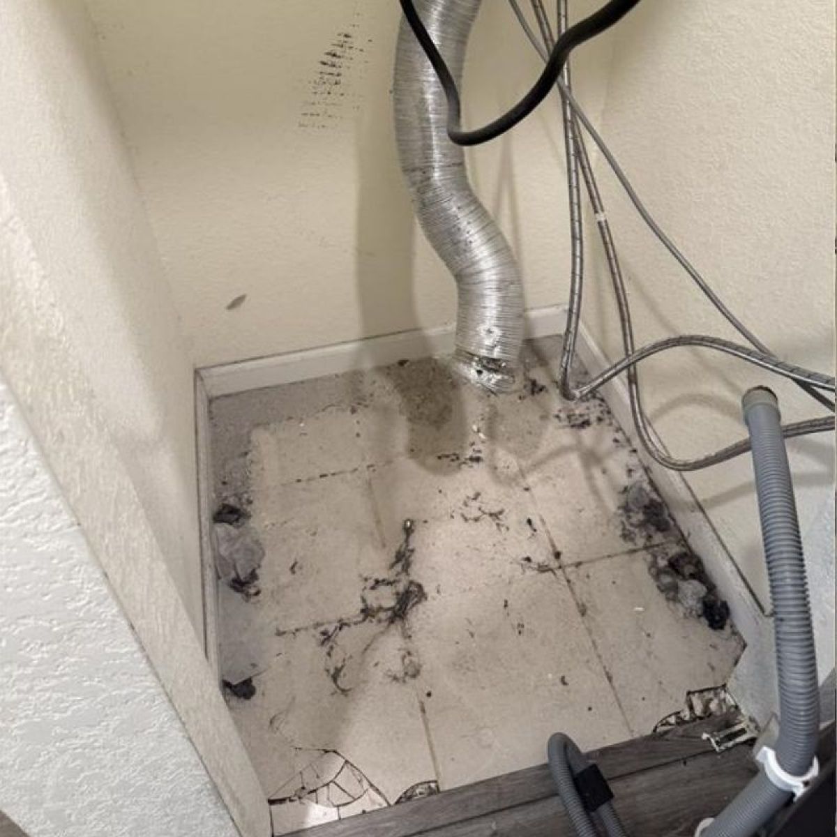 Dryer Vent Maintenance Service Florida