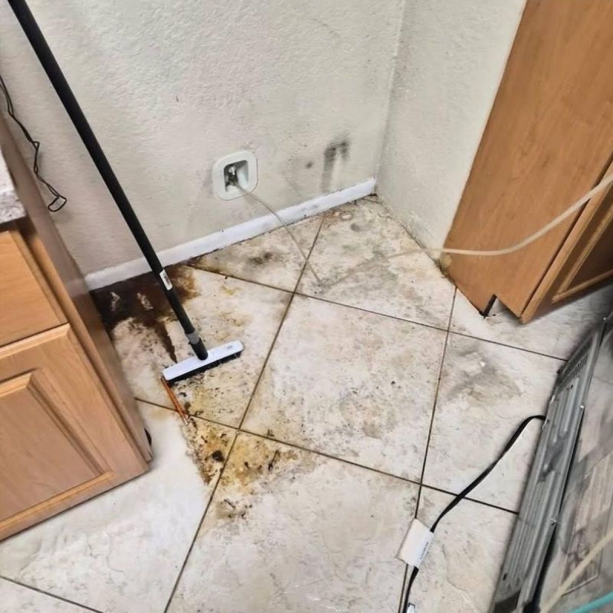 Professional Tile Cleaning Weston Florida