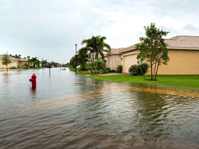 What Is The Average Cost Of Storm Damage Restoration In Pembroke Pines
