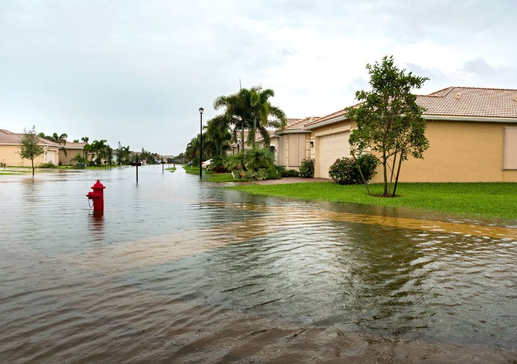 What Is The Average Cost Of Storm Damage Restoration In Pembroke Pines