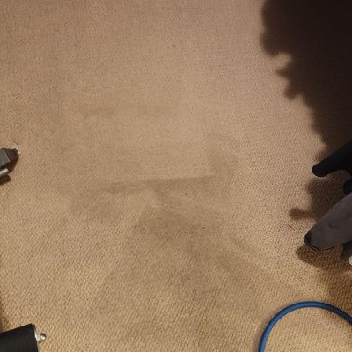 Professional Carpet Cleaning Tamarac FL