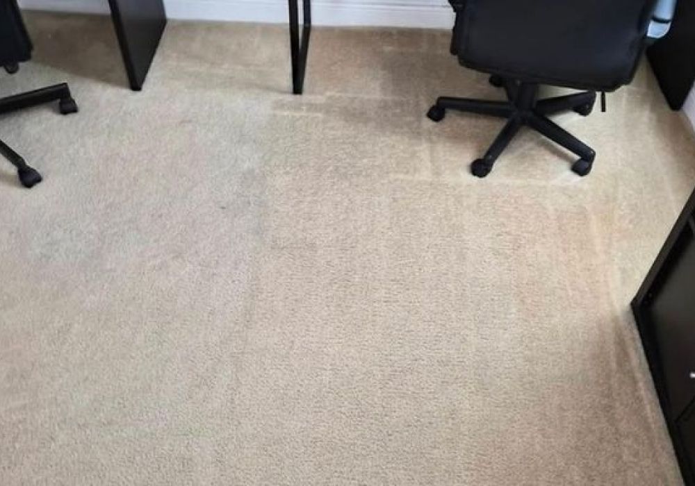 Carpet Cleaning Coconut Creek FL