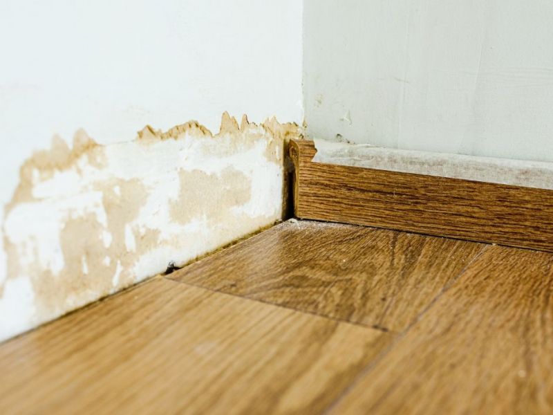 What Is The Average Cost Of Water Damage Restoration In Grand Prairie