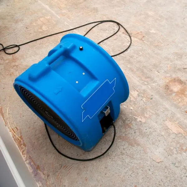 High Quality Commercial Sewage Damage Restoration Services